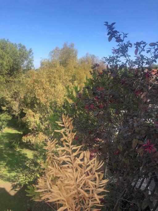 Casa Incantevole Con Vista Parco Appia Antica Villa Рим Екстериор снимка