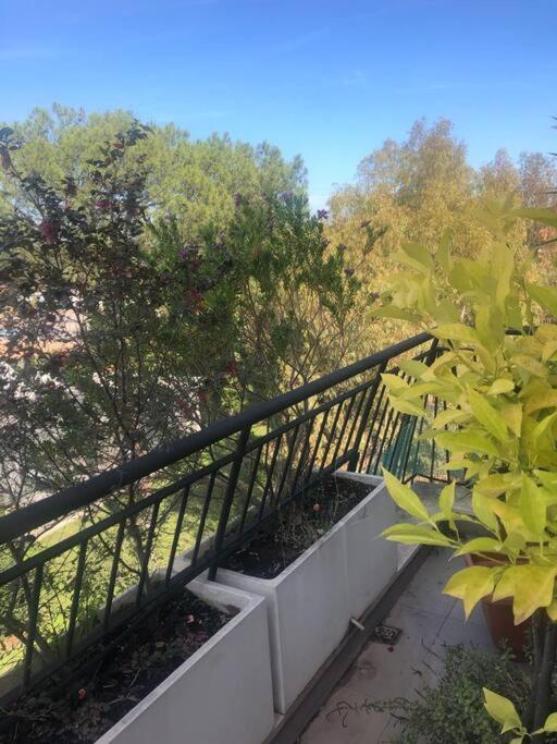 Casa Incantevole Con Vista Parco Appia Antica Villa Рим Екстериор снимка